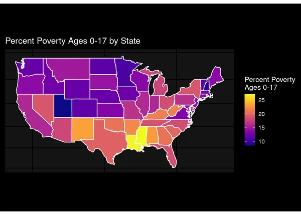 Data Science Mini Project US Map